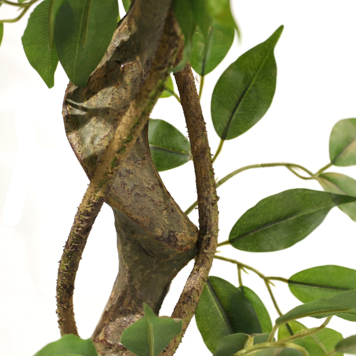 Strukturierter brauner Stamm mit grünen Blättern der Kunstpflanze FICUS I von hjh OFFICE