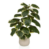 Kunstpflanze Ficus 3 in Grün und Weiß mit einem beigen Übertopf von hjh OFFICE