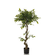 Grüne Kunstpflanze FICUS I mit gewundenem Stamm in einem schwarzen Topf von hjh OFFICE