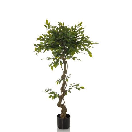 Grüne Kunstpflanze FICUS I mit gewundenem Stamm in einem schwarzen Topf von hjh OFFICE