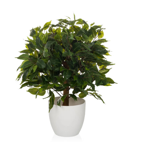 Kunstpflanze FICUS II in Grün mit dichtem Blattwerk in einem weißen Übertopf von hjh OFFICE