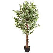 Kunstpflanze FICUS mit grün-weiß panaschierten Blättern in einem schwarzen Topf von hjh OFFICE