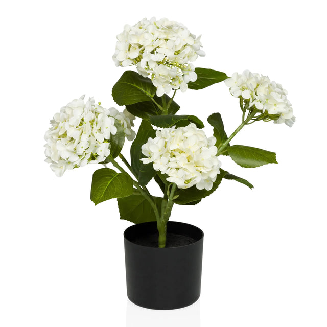 Kunstpflanze HYDRANGEA mit weißen Blüten, grünen Blättern und schwarzem Übertopf von hjh OFFICE