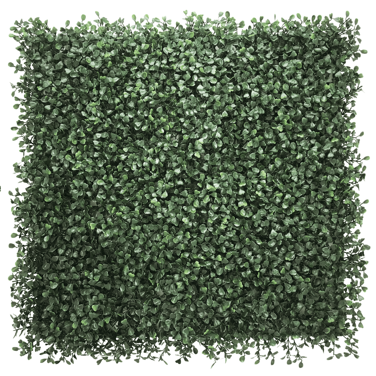 Grüne Pflanzenmatte LEAFLUXE 1 mit dichten, kleinen Blättern in quadratischer Form von hjh LIVING