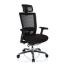 High-End-Bürostuhl NOVA PRO I in Schwarz mit Netzrückenlehne, Kopfstütze und glänzendem Fußkreuz von hjh OFFICE