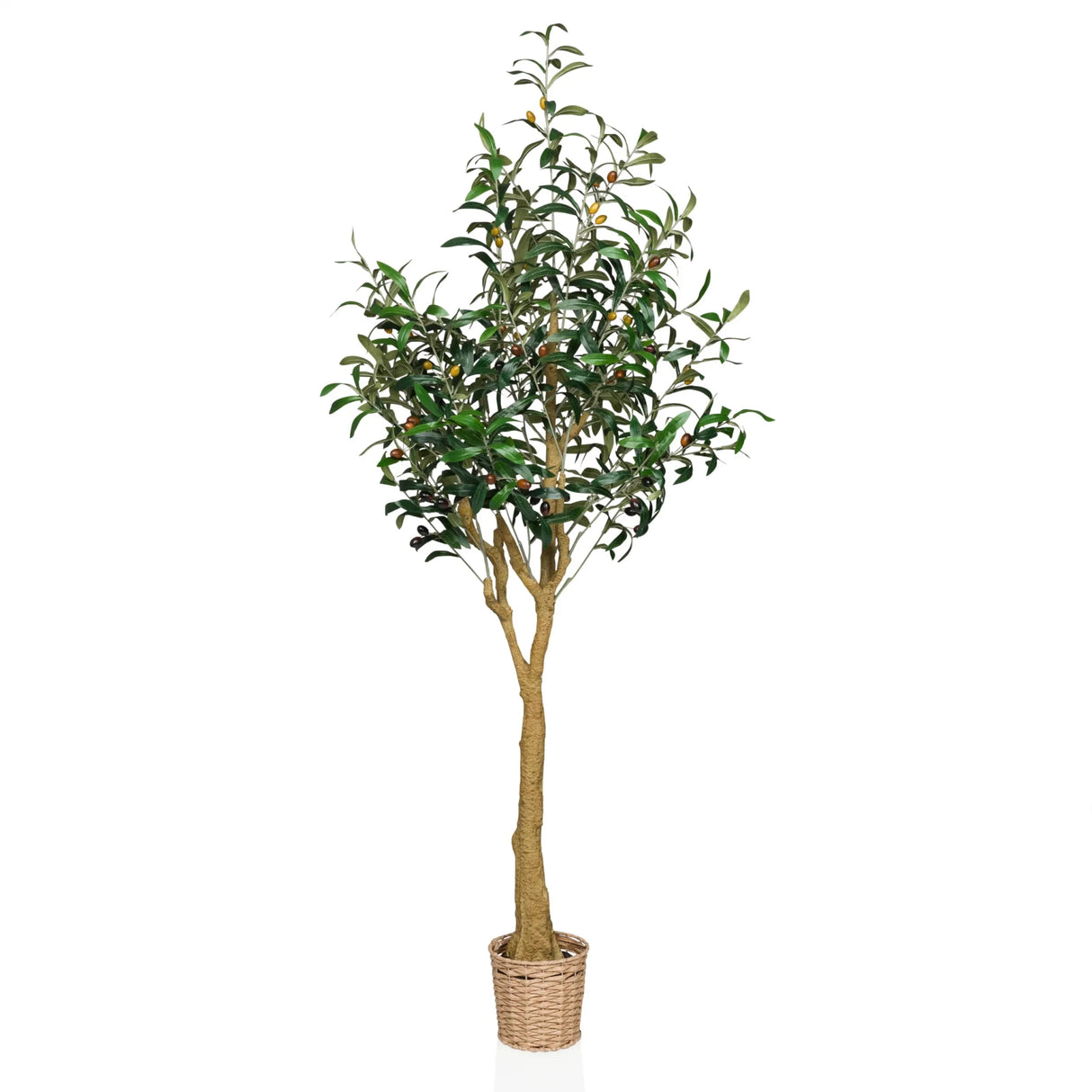 Kunstpflanze OLIVE II in Grün mit geflochtenem Korbgefäß und natürlichem Stamm von hjh OFFICE