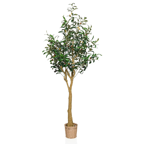 Kunstpflanze OLIVE II in Grün mit geflochtenem Korbgefäß und natürlichem Stamm von hjh OFFICE