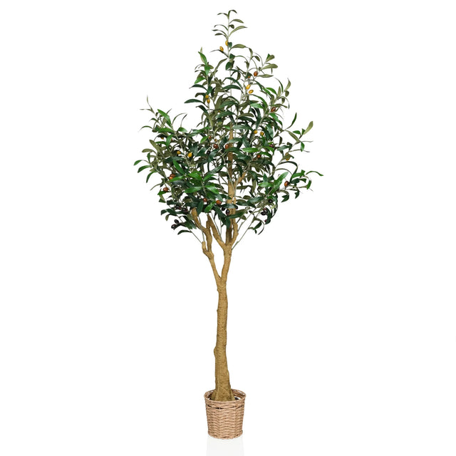 Kunstpflanze OLIVE II in Grün mit geflochtenem Korbgefäß und natürlichem Stamm von hjh OFFICE