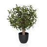 Kunstpflanze Olive S mit grünen Blättern in einem schlichten schwarzen Übertopf von hjh OFFICE