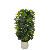 Kunstpflanze Schefflera 2 in Grün mit dichten Blättern in einem schlichten beigen Topf von hjh OFFICE