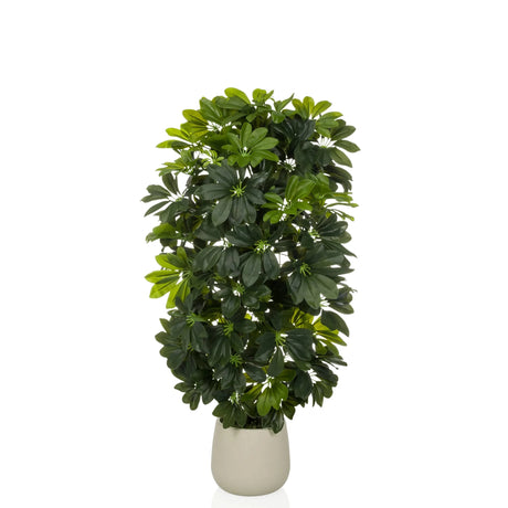 Kunstpflanze Schefflera 2 in Grün mit dichten Blättern in einem schlichten beigen Topf von hjh OFFICE