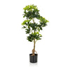 Grüne Kunstpflanze SCHEFFLERA mit glänzenden Blättern in einem schwarzen Topf von hjh OFFICE