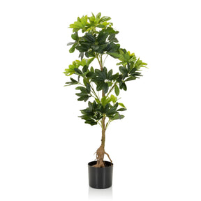 Grüne Kunstpflanze SCHEFFLERA mit glänzenden Blättern in einem schwarzen Topf von hjh OFFICE