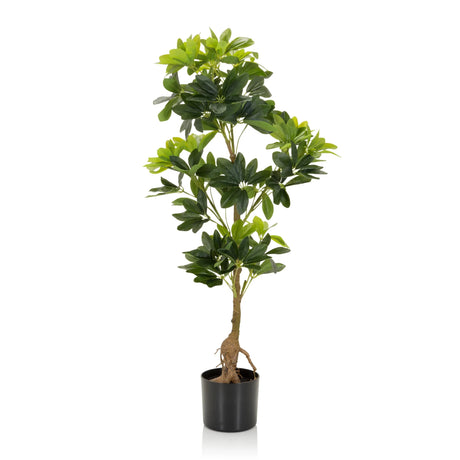 Grüne Kunstpflanze SCHEFFLERA mit glänzenden Blättern in einem schwarzen Topf von hjh OFFICE