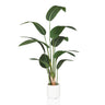 Grüne Kunstpflanze STRELITZIA mit großen Blättern in einem weißen Topf von hjh OFFICE