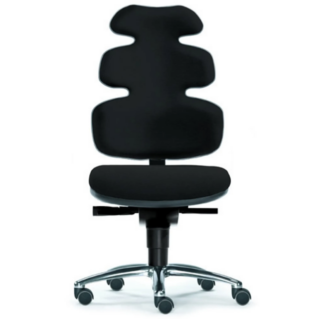High-End-Bürostuhl ZERO 54 in Schwarz mit geschwungener Rückenlehne und Sternfuß von Sitwell Steifensand